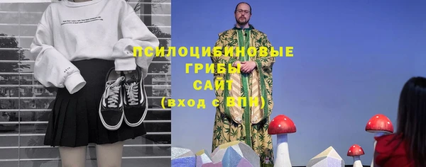 2c-b Бутурлиновка