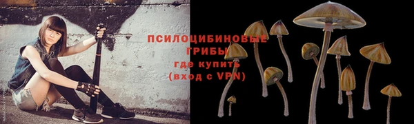 МДМА Валдай
