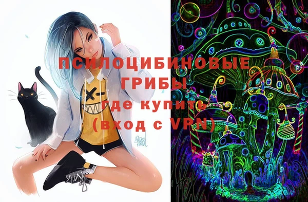 кокс Пестово