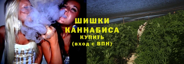 ГАЛЛЮЦИНОГЕННЫЕ ГРИБЫ Валуйки