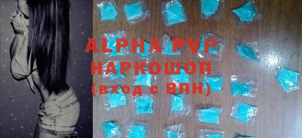 прущие грибы Осинники