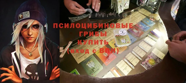 прущие грибы Осинники