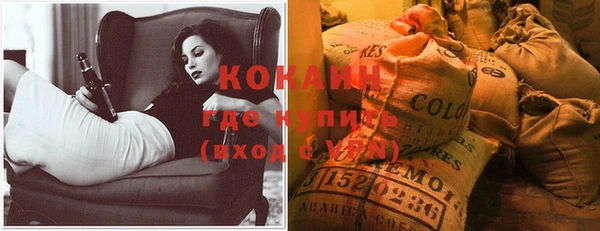 прущие грибы Осинники