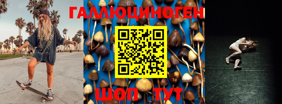 купить наркотик  Галлюциногенные грибы Psilocybine cubensis  Вход с VPN  Тольятти 